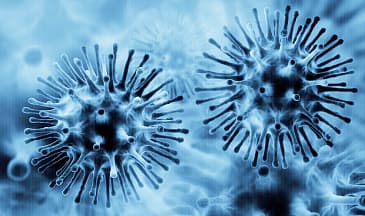 Острые респираторные вирусные инфекции (ОРВИ), грипп – симптомы, мифы.